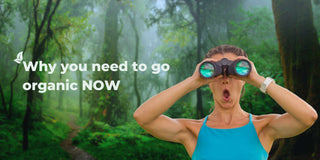 benefits of organic hair products