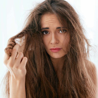 products for dry damaged hair